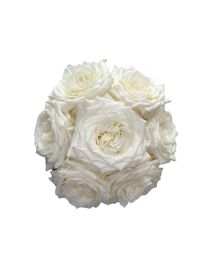 White Roses Gift Box White Roses Gift Box
