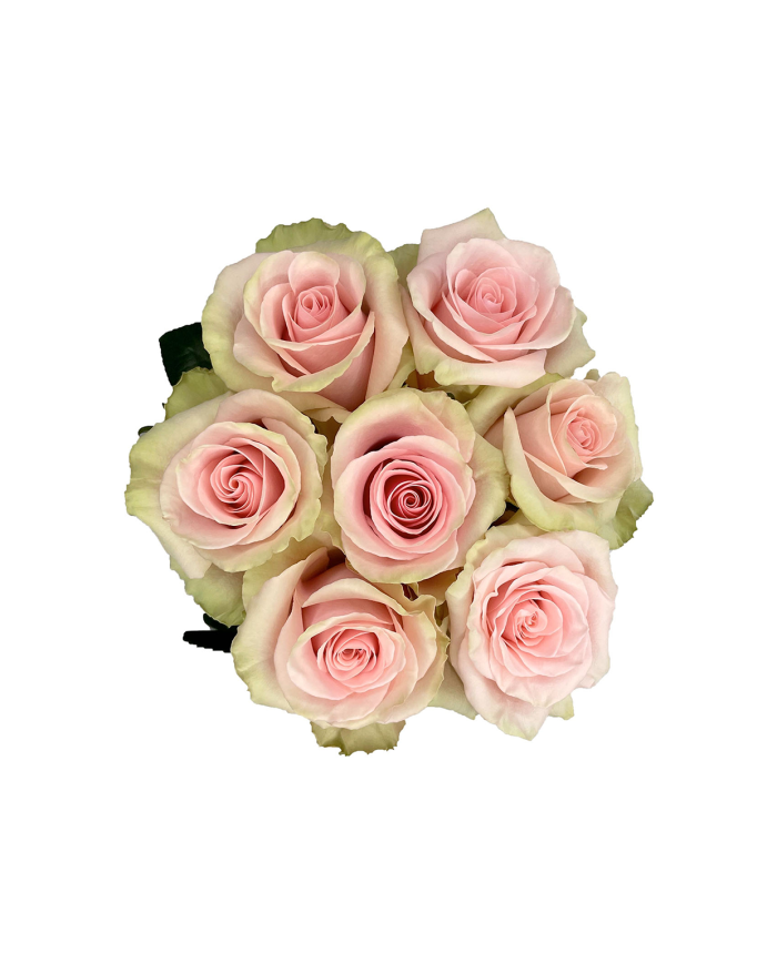 Bicolor Roses Gift Box