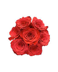 Red Roses Gift Box Red Roses Gift Box