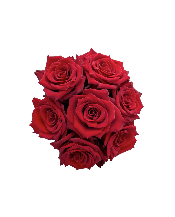 Red Roses Gift Box Red Roses Gift Box