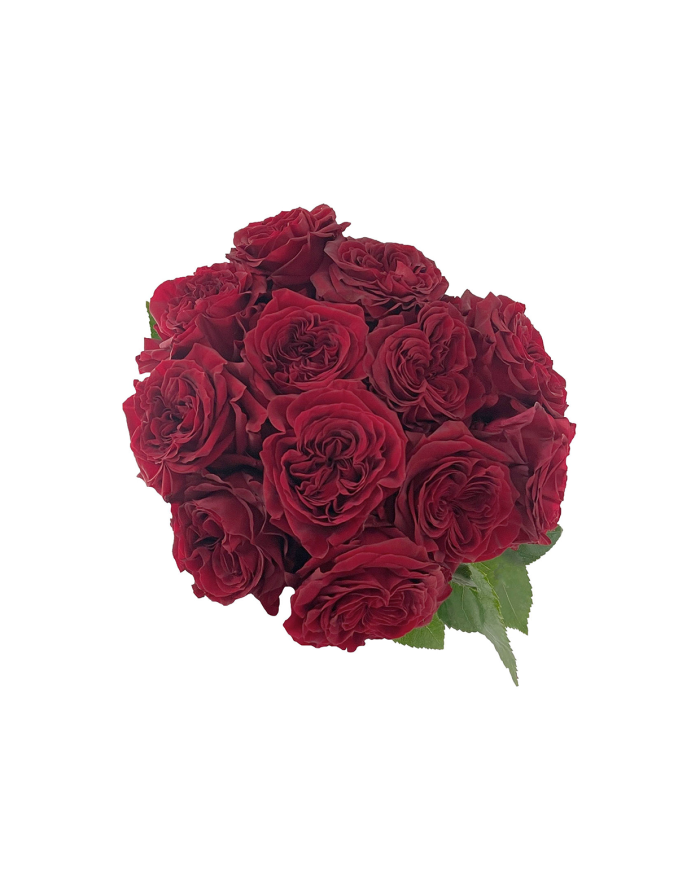 Red Roses Gift Box Red Roses Gift Box