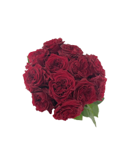 Red Roses Gift Box Red Roses Gift Box