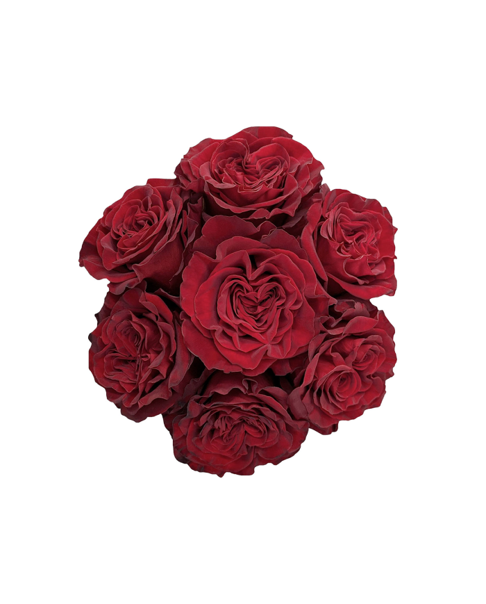 Red Roses Gift Box Red Roses Gift Box