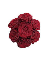 Red Roses Gift Box Red Roses Gift Box