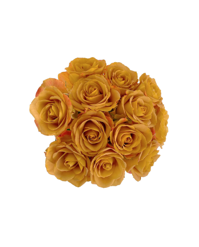 Golden Roses Gift Box Golden Roses Gift Box