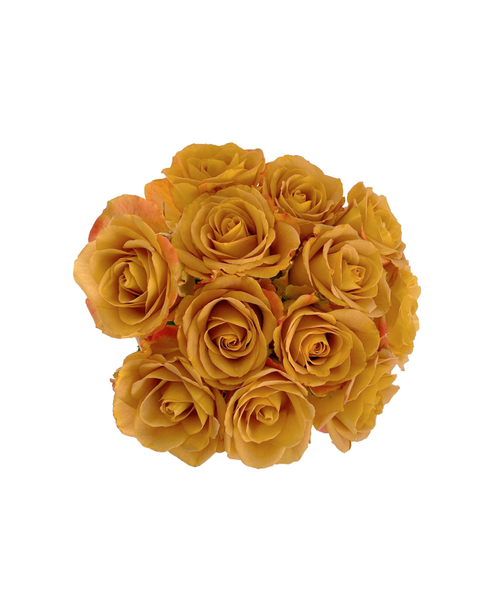 Golden Roses Gift Box Golden Roses Gift Box