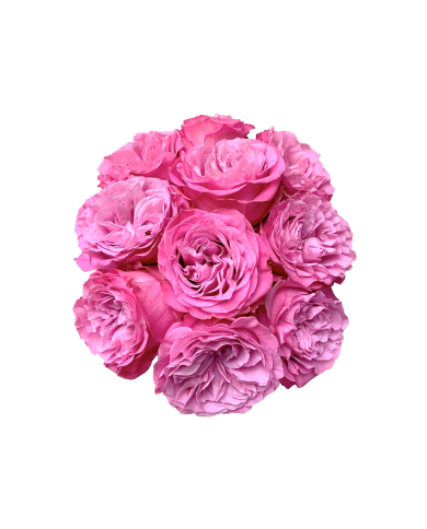 Lavender Roses Gift Box Lavender Roses Gift Box