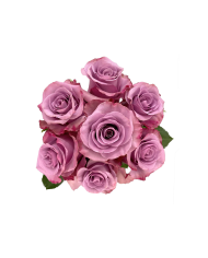 Lavender Roses Gift Box Lavender Roses Gift Box