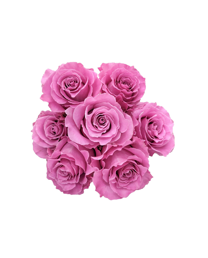 Lavender Roses Gift Box Lavender Roses Gift Box