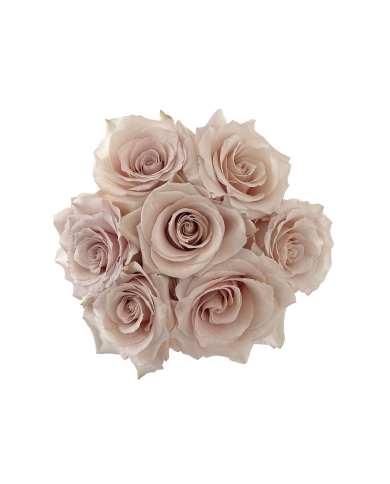 Sand Roses Gift Box Sand Roses Gift Box