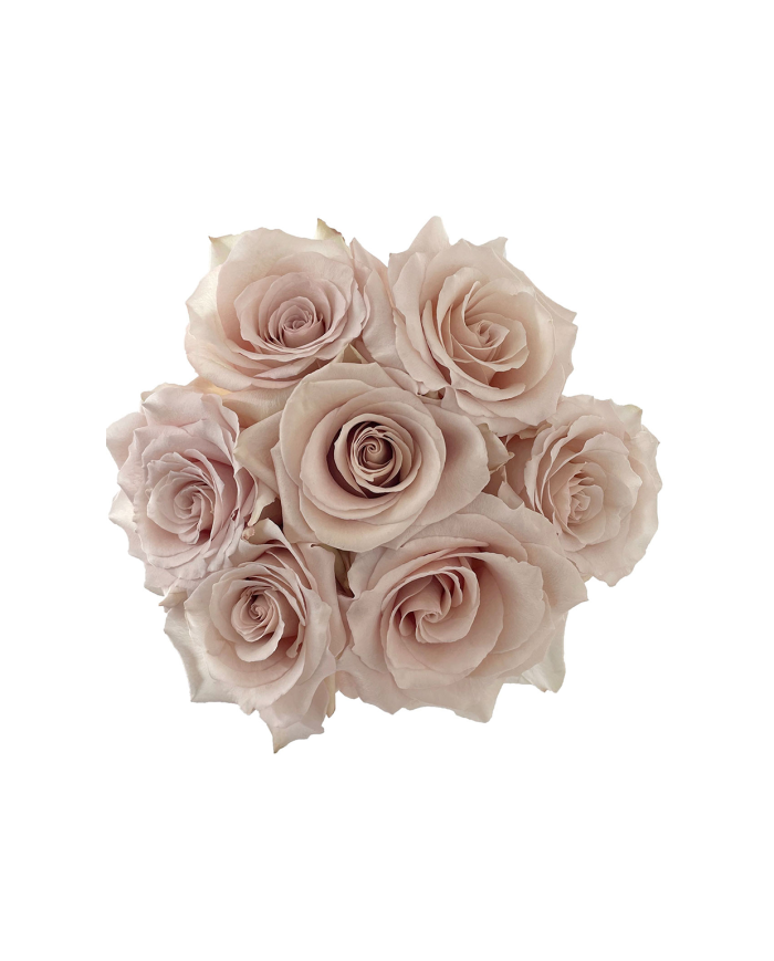 Sand Roses Gift Box Sand Roses Gift Box