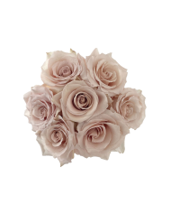 Sand Roses Gift Box Sand Roses Gift Box