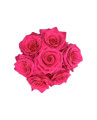 Hot Pink Roses Gift Box
