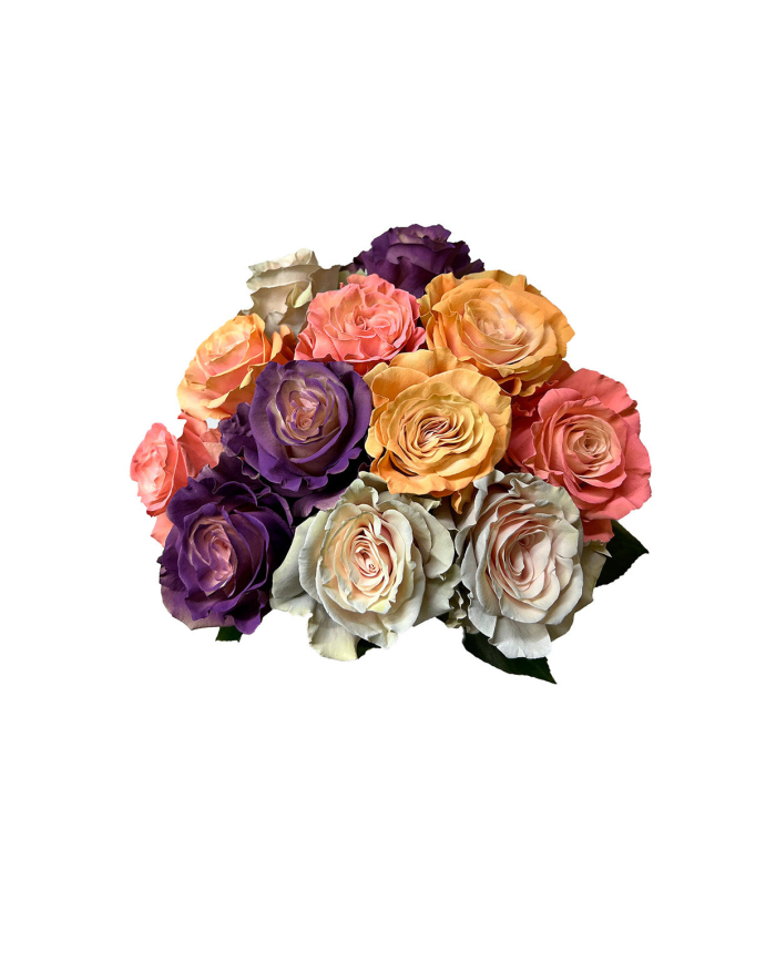 Mix Roses Gift Box Mix Roses Gift Box