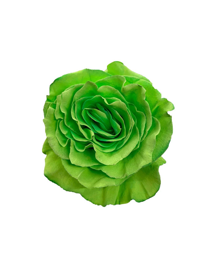 Jelly Bean Easter Egg Hunt Gift Box Jelly Bean Easter Egg Hunt Gift Box