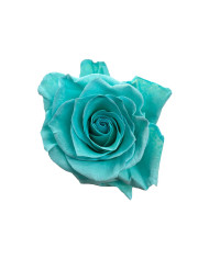 Panorama Egg Gift Box Tinted Roses