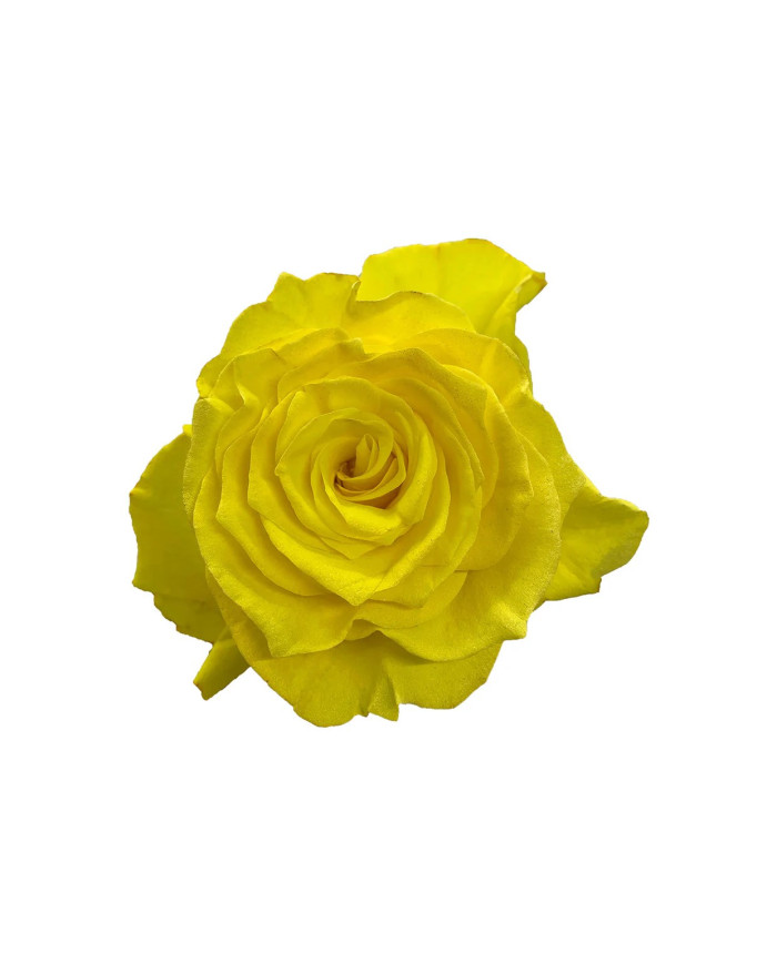 Candy Corn Tinted Roses Gift Box