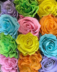 Candy Bracelet Dyed Roses Gift Box