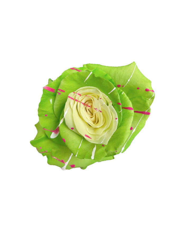 Trix Rabbit Tinted Roses Gift Box Trix Rabbit Tinted Roses Gift Box