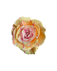 La Vie En Rose Valentine’s Day Gift Box