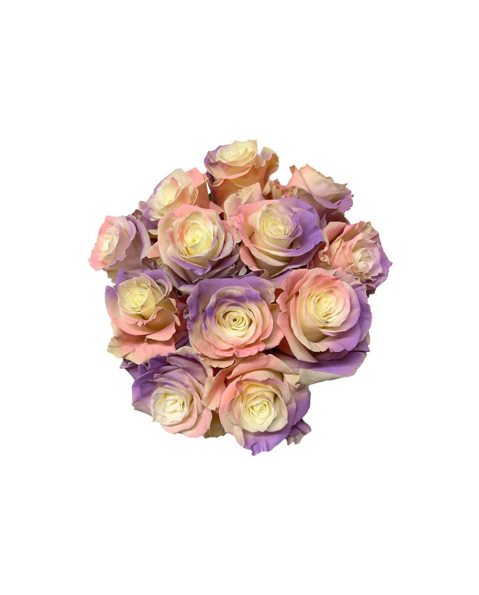 Still Loving You Tinted Roses Gift Box Still Loving You Tinted Roses Gift Box