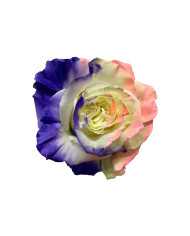 Banana Pudding Easter Egg Collection Gift Box