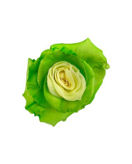 Proposal Valentine's Day Gift Box