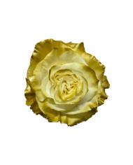 Proposal Valentine's Day Gift Box