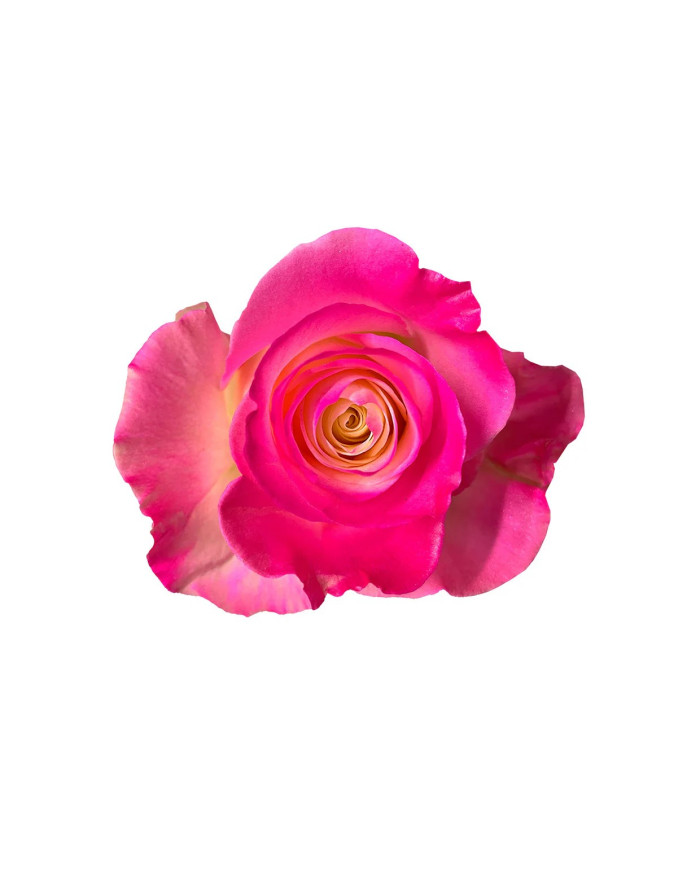 Encourage Valentine's Day Gift Box