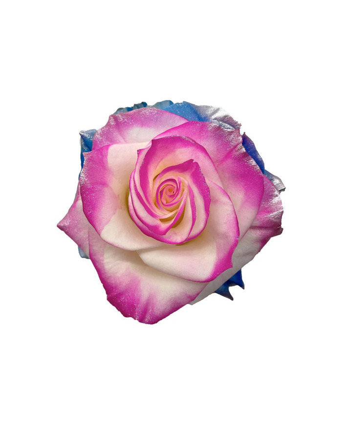 Tourmaline Mother's Day Tinted Roses Gift Box