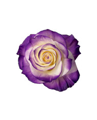 Ireland St. Patrick Gift Box