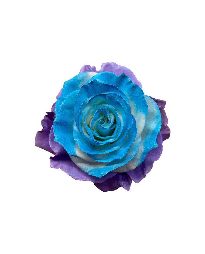Azurite Mother's Day Roses Gift Box