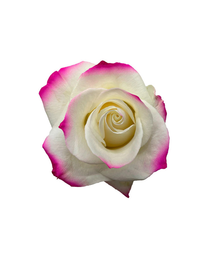 Garnet Mother's Day Collection Gift Box