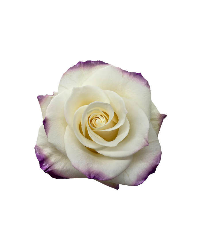 Alexandrite Mother's Day Collection Gift Box