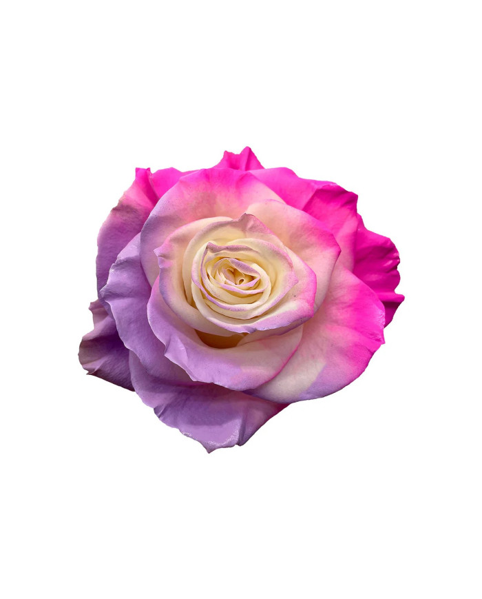 Opal Mother's Day Collection Gift Box