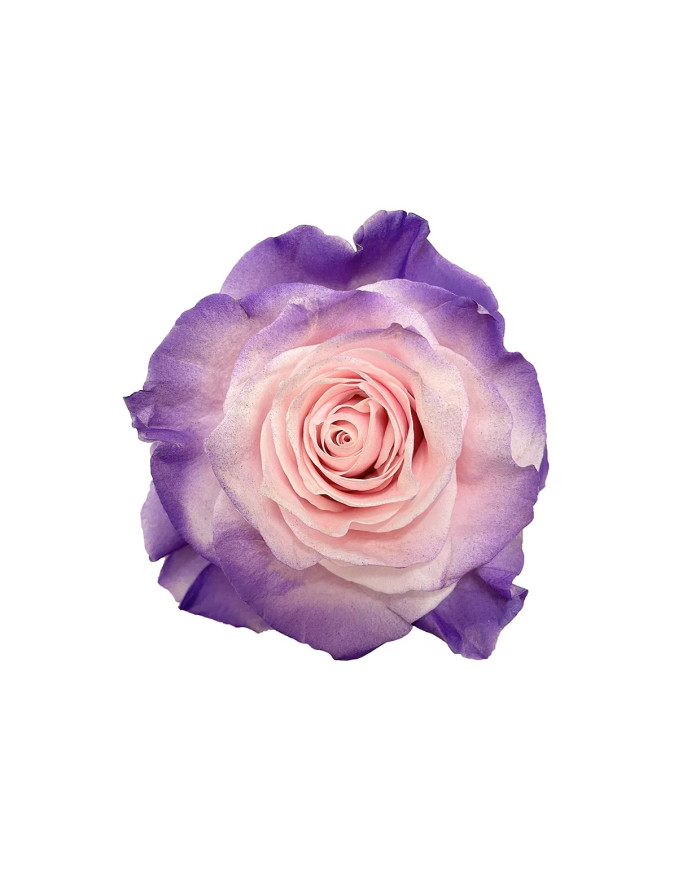 Sugilite Mother's Day Collection Gift Box