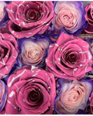 Earrings Mother's Day Tinted Roses Gift Box