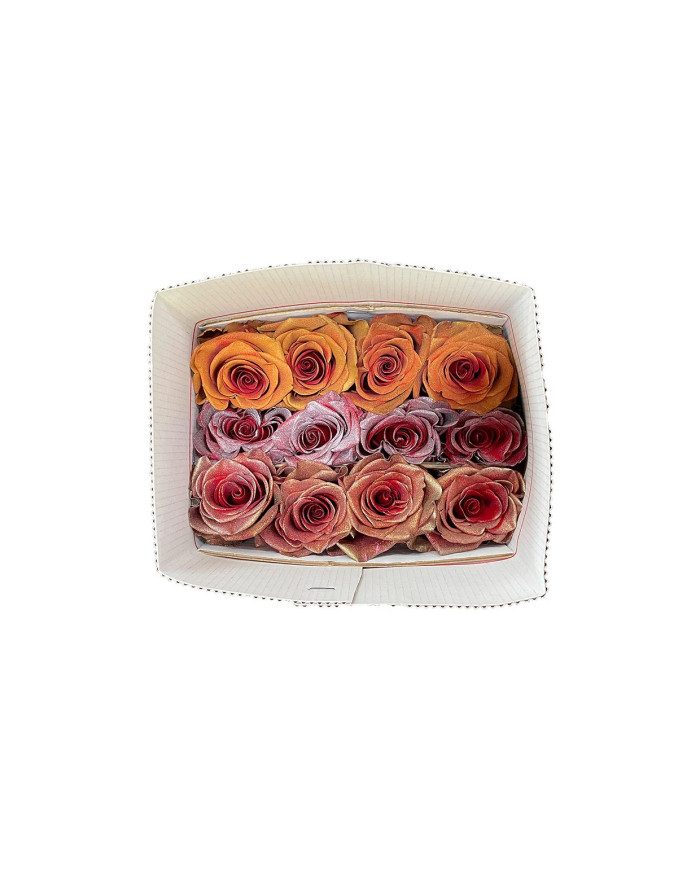 Cartier Tinted Roses Collection Gift Box