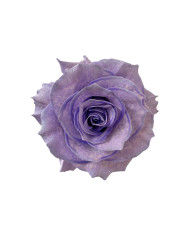 Mom Glitter Tinted Roses Gift Box Mom Glitter Tinted Roses Gift Box