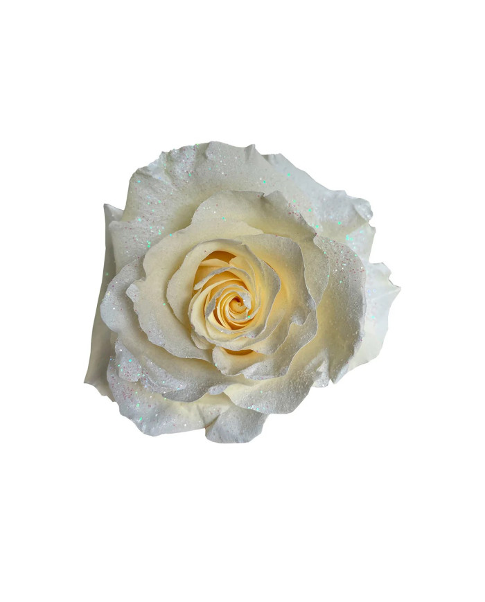 Mère Tinted Roses Collections Gift Box