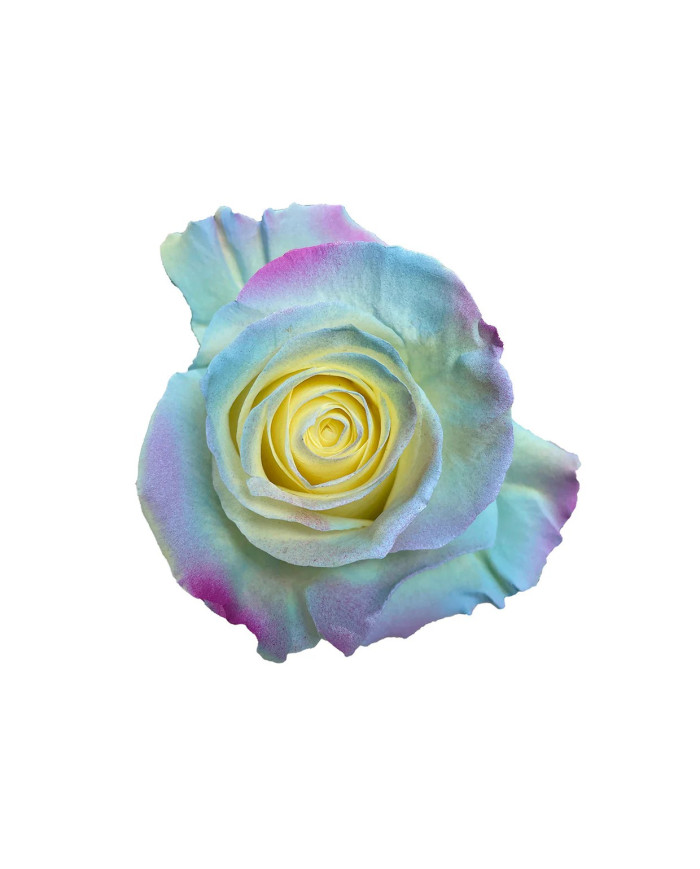 Okaasan Mother's Day Collections Gift Box