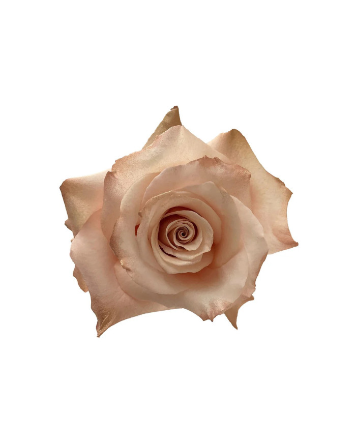 Makuahine Mother's Day Collection Gift Box