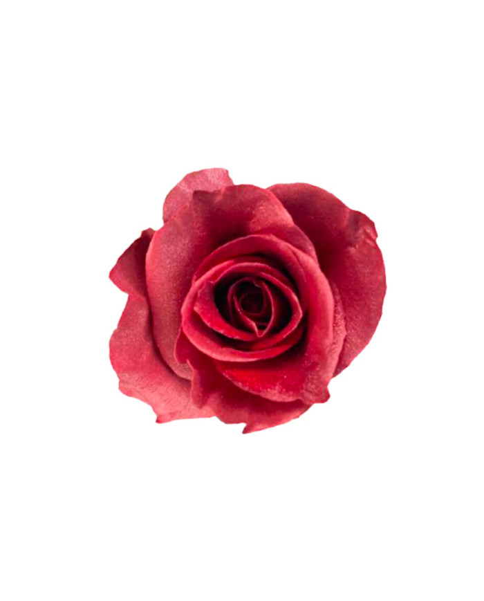 Heartfelt Gratitude Mother's Day Collection Gift Box