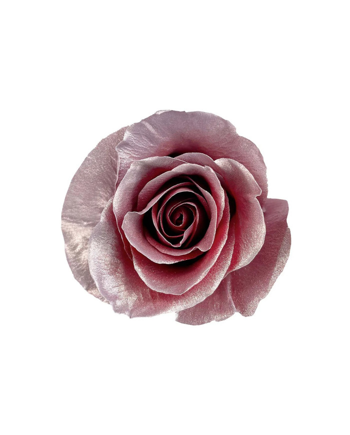 Tender Tribute Mother's Day Collection Gift Box