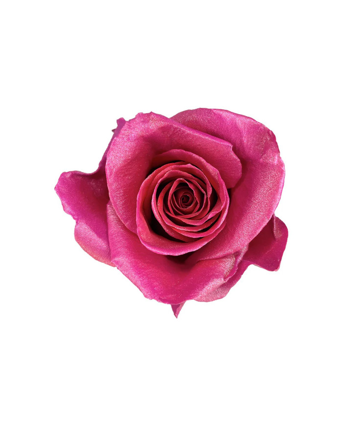 Sweet Nostalgia Mother's Day Collection Gift Box