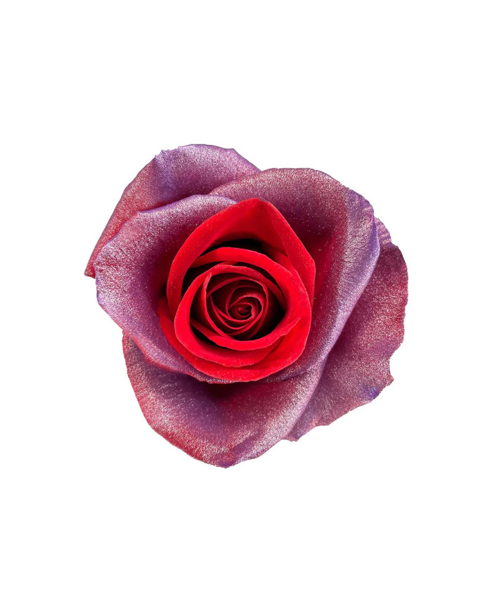 Enchanting Love Mother's Day Collection Gift Box