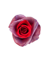 Pot of Gold St. Patrick Gift Box