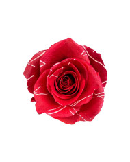 Full of Charm St. Patrick Gift Box