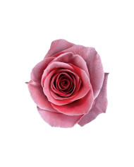 Timeless Beauty Mother's Day Gift Box