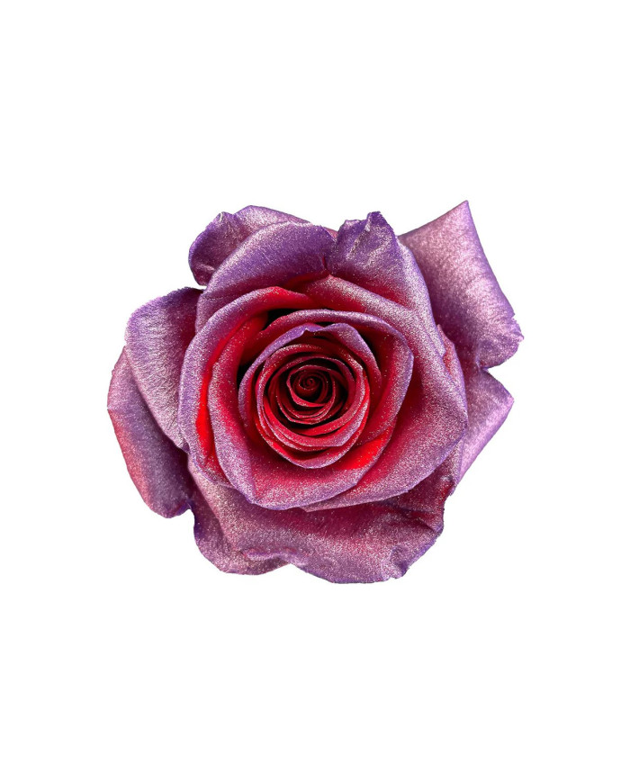 Mother's Delight Tinted Roses Gift Box